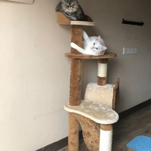 丰满熟女寡妇喷潮2
